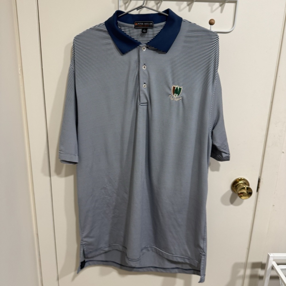 Peter Millar Pine Valley Golf Polo Shirt Mens L Blue Striped Summer Comfort Golf